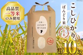 【期間限定発送】 米 令和7年 ばんどり米 コシヒカリ 玄米 10kg ×1袋 一等米 [農事組合法人東和 富山県 舟橋村 57050175] お米 美味しい こしひかり 富山 農家