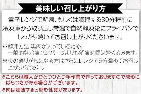 手作りハン馬ーグ 100g×10個 馬肉100%配合！【熊本肥育】ハンバーグ たっぷり 冷凍 お中元 肉 お手軽 お取り寄せ《30日以内に出荷予定(土日祝除く)》---gkt_fkgumburg_30d_23_12000_10k---