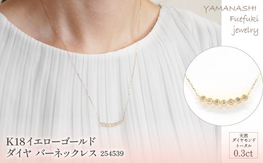 yRJszK18CG[S[h@0.3ct@_Co[lbNX@Ǘԍ254539@×1{ 218-008