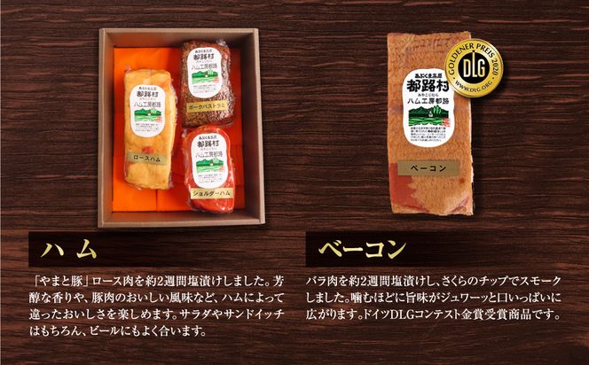 【奇数月にお届け全6回】 ハム ・ ベーコン ・ ソーセージ 詰合せ 定期便 セット やまと豚 DLG 金賞 おかず 焼くだけ のし 熨斗 ギフト プレゼント 人気 ランキング おすすめ 福島県 福島 田村市 田村 ふくしま たむら ハム工房都路　T01-H67-01