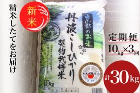 【定期便】令和6年産 新米 訳あり 京都丹波米こしひかり10kg×3回 計30kg◆ 米 3ヶ月 白米 3回定期便 ※精米したてをお届け コシヒカリ ※毎月1回又は2カ月に1回 ※北海道・沖縄・離島への配送不可 ※2024年10月上旬以降順次発送予定