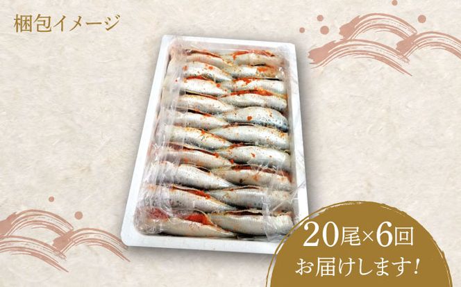 【全6回定期便】ピリ辛 いわし明太20尾《築上町》【株式会社マル五】[ABCJ079]