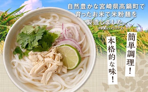 〈米粉麺 フォー 12食 セット（麺のみ +4パック）〉翌月末迄に順次出荷【c1198_fd】 本格 簡単 麺 スープ ライスヌードル