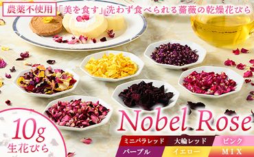 『美を食す』 Nobel Rose 乾燥花びら 10g｜通年出荷 食用バラ 薔薇