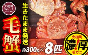 【令和7年発送】三陸産！活毛ガニセット 300g×8杯【2025年2月〜4月発送】【配送日指定不可】【0tsuchi01002】【08】