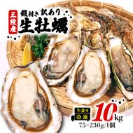 ふるさと納税 カバン 岩手県 大船渡市 おさんぽポシェット(サコッシュ) ヒモ長さ：(2)60cm (2)60cm（ヒモの長さ） おさんぽポシェット(サコッシュ) 【ヒモ長さ：(2)60cm】 - 岩手