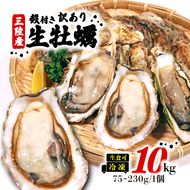 訳あり 岩手県産冷凍殻付き牡蠣 10kg [koku008_2]