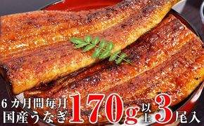 585.【定期便・うなぎ屋かわすい】国産うなぎ蒲焼き特大サイズ３本セット（６ヶ月お届け）(A585-1)