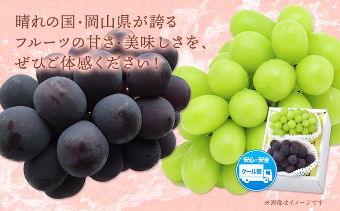 【2026年先行予約】シャインマスカット・ピオーネ詰め合わせ 約1.0kg マスカット 葡萄 ブドウ ぶどう ピオーネ フルーツ セット  晴れの国おかやま館 《2026年8月下旬-10月下旬頃出荷》 フルーツ 果物 果実 岡山県 笠岡市---H-21a---