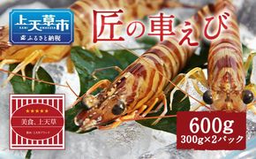 【上天草ブランド認証品】 匠の車えび【活き締め急速冷凍】600g(18尾～24尾) 