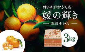 【愛媛県伊方町産】太陽の恵み！甘くてジューシーなみかん 媛の輝き（3kg）◇ ｜ みかん 柑橘 媛の輝き 温州みかん 果物 フルーツ 愛媛　※2024年11月下旬頃より順次発送予定