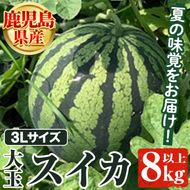 ＜先行予約受付中！2025年6月以降順次発送予定＞鹿児島県産 大玉スイカ(3Lサイズ・1玉) 国産 果物 スイカ すいか 西瓜 フルーツ スイーツ スムージー ジュース【松永青果】a-12-310-z