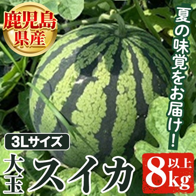 ＜先行予約受付中！2025年6月以降順次発送予定＞鹿児島県産 大玉スイカ(3Lサイズ・1玉) 国産 果物 スイカ すいか 西瓜 フルーツ スイーツ スムージー ジュース【松永青果】a-12-310