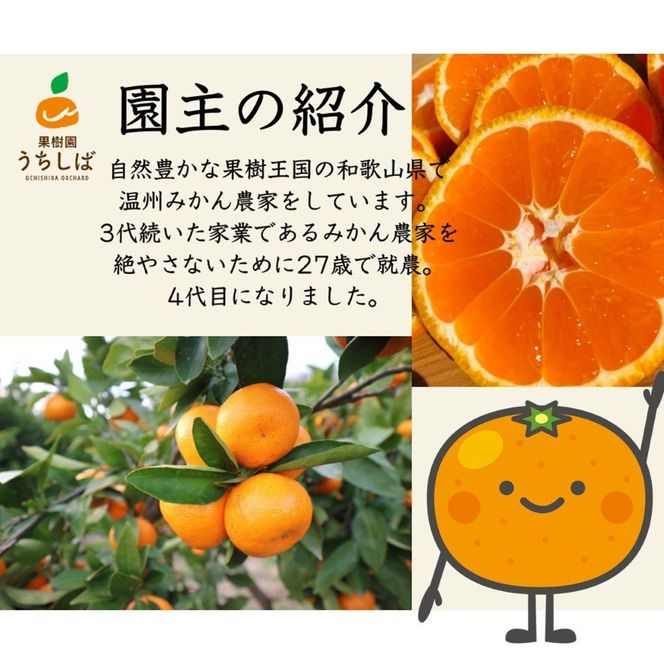 和歌山県産 濃厚な甘さ 完熟有田みかん 10kg 農家直送   	DX009