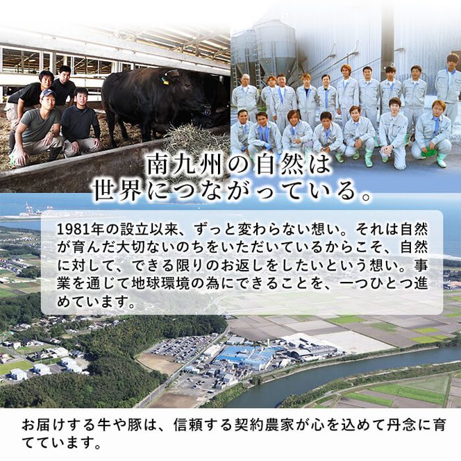 鹿児島県産黒豚切り落とし＜計2.4kg(300ｇ×8P)＞ a6-002