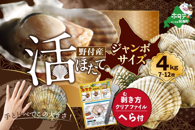 【先行予約】ジャンボ活ほたて 4kg相当 7～12枚入り＜朝どり新鮮出荷!＞【KN0000002】( ふるさと納税 ほたて 大玉 生食 活きほたて 生ホタテ 生帆立 生ホタテ貝柱 帆立貝柱 天然 冷蔵 刺身用 生 )