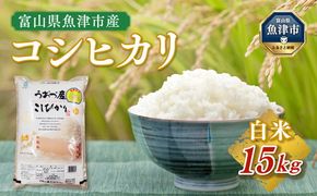 【令和7年度米】富山県 うおづ産米「コシヒカリ」15kg（5kg×3袋）（精米）｜こしひかり こめ コメ お米 おこめ 白米 精米 雪解け水 香り うまみ あまみ 冷めても 美味しい おにぎり お弁当 高品質 魚津市 ※北海道・沖縄・離島への配送不可 ※2025年10月上旬～2026年8月下旬頃に順次発送予定