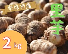 循環型有機肥料で育った里芋（石川早生） 2kg【アグリCATS】_HA1433