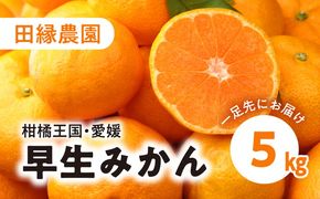 【数量限定】田縁農園の早生みかん（生果）5kg ｜ 柑橘 みかん ミカン フルーツ 果物 愛媛 ※2024年11月中旬頃より順次発送予定