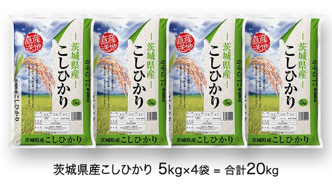 先行予約 】 令和5年産 茨城県産 コシヒカリ ( 精米 ) 20kg ( 5kg × 4