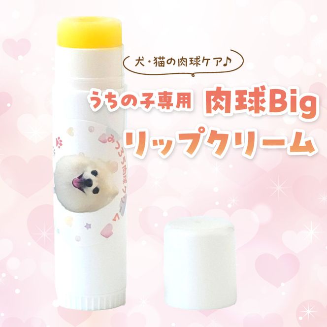 yɌÐszyybgpz̎qp BigbvN[ s ybgObY  PA Y݂낤100% I[KjbN XeBbN^Cv e zzoIC ty2400N13313z