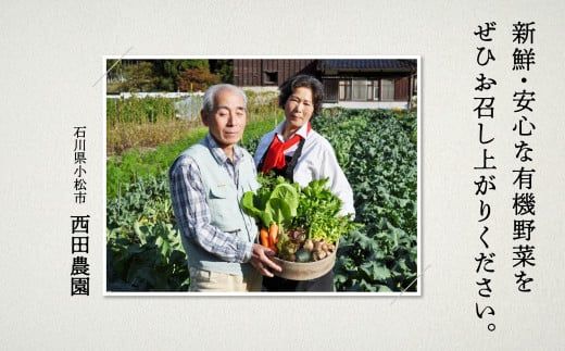 【有機JAS認定サラダ野菜】西田農園　季節の野菜詰合せ　Bセット 017002