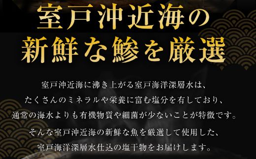 【ふるさと納税】トロ鯵 干物セット 8枚 海洋深層水仕込み 詰め合わせ アジ 魚 10000円 1万円 海鮮 魚介類 惣菜 冷凍 送料無料　iz021