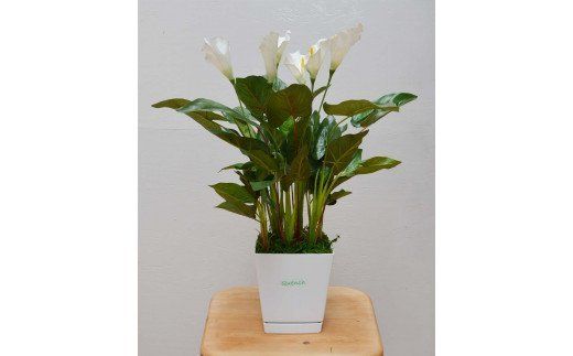 カラーリリー（造花）G-901