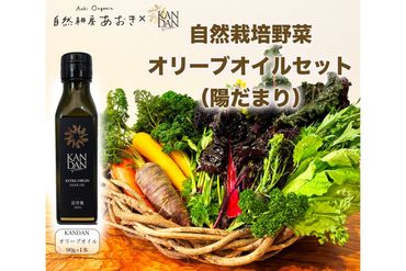 【数量限定】自然栽培野菜とKANDANオリーブオイル90gセット（陽だまり）　DZ00018