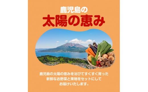 【JA直売所セレクト】旬鮮野菜・果物セット（12～14品目）　K072-001