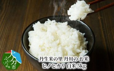 【B01027】丹生米の里 丹川のお米 ヒノヒカリ白米 5kg