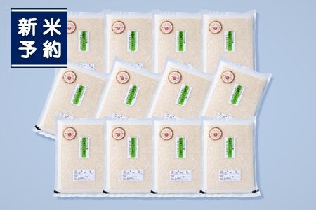 【新米受付・令和8年産米】【備蓄米としても便利】 新潟県村上市岩船産コシヒカリ・真空パック白米24kg （2kg×12袋）ND4048 米ソムリエ板垣謹製