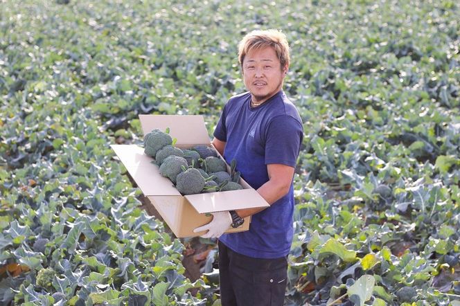 【収穫当日に発送します】豊かな大地“へきなん”から贈る ブロッコリー約11本【期間限定】 H139-022