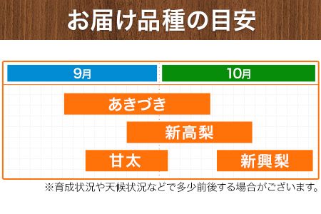 熊本県氷川町産 鋤先梨農園の梨 約3kg 鋤先梨農園 《8月下旬-10月中旬頃出荷》 熊本県 氷川町 あきづき 甘太 新高 新興 旬---sh_cskinasi_h810_26_13000_3kg---