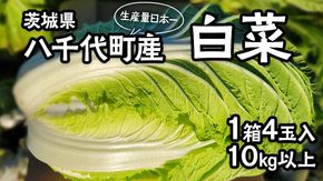 【11月中旬より発送】 茨城県 八千代町産 白菜 はくさい 1箱 （ 4玉 ） 10kg 以上 生産量 日本一 農家直送 期間限定 ハクサイ 鍋 冬野菜 野菜 やさい 旬 ふるさと納税 6000円 八千代町 茨城 [AV009ya]