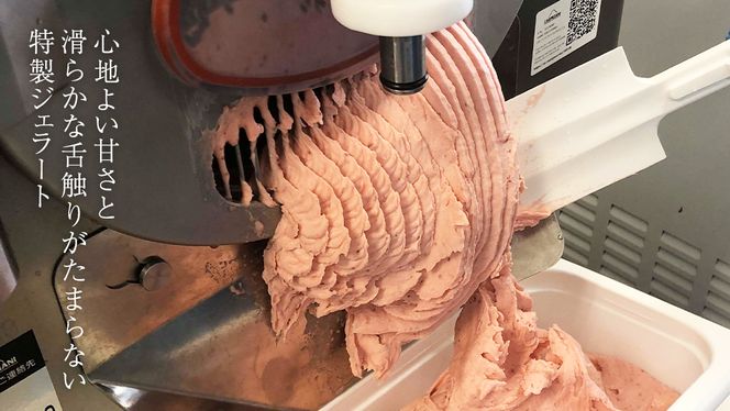 八千代町 大地の恵み ジェラート 12個 セット アイス ソルベ スイーツ デザート 詰め合わせ 詰合せ ふるさと納税 10000円 特製 [AU092ya] 