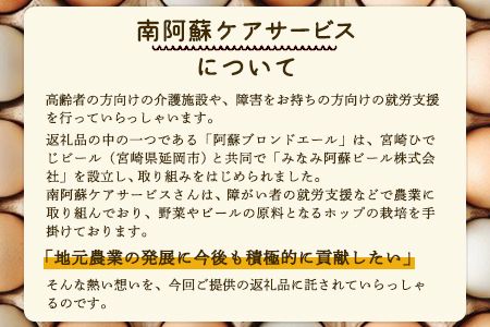 平飼いニワトリの食べ比べ卵セット 計30個(割れ保障3玉含む) 熊本県南阿蘇村《90日以内に出荷予定(土日祝を除く)》株式会社南阿蘇ケアサービス---sms_ccareegg_90d_r7_14000_30i---