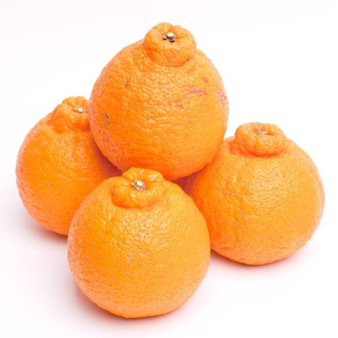 ［先行予約］厳選 不知火5kg+250g（傷み補償分）［デコポンと同品種・人気の春みかん］ CZ120