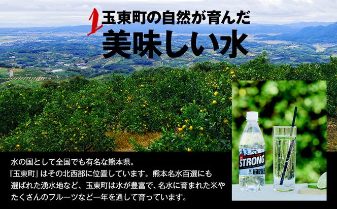 【12ヶ月定期便】強炭酸水24箱（計12回お届け 合計24ケース: 500ml×576本）《お申込み月の翌月から出荷開始》強炭酸水 熊本県玉東町産の水を使用! クリアで爽快な喉越し！くまもと風土の強炭酸水★ストロング炭酸水 ふるさと納税 熊本県 玉東町 炭酸水 水 強炭酸 送料無料 便利 ダイエットしたい方に スポーツ お酒割---fn_stgtei_24_146500_24l_mo12num1---