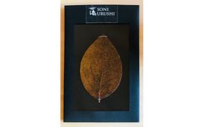 葉の器（中） /// 漆 漆器