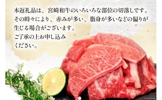 宮崎和牛 切り落とし 焼肉 600ｇ [道の駅「日向」物産館 宮崎県 日向市 452060795] 切落し きりおとし 牛肉 黒毛和牛 宮崎県産 焼き肉