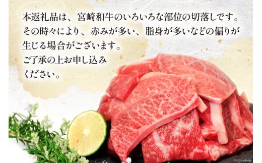 宮崎和牛 切り落とし 焼肉 600ｇ [道の駅「日向」物産館 宮崎県 日向市 452060577] 切落し きりおとし 牛肉 黒毛和牛 宮崎県産 焼き肉