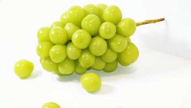 【 お歳暮 熨斗付 】赤いちごとシャインマスカットの宝石箱 36粒【2026年12月から発送開始】（茨城県共通返礼品 [いちご]：城里町産　[ぶどう]：結城市） いちご 苺 イチゴ 白いちご 白イチゴ シャインマスカット マスカット 宝石箱