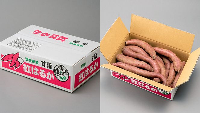 訳あり さつまいも 5kg 小さめ 無選別 （茨城県共通返礼品：行方市） 茨城県 行方市 サツマイモ さつま芋 お徳用 [EA01-NT]