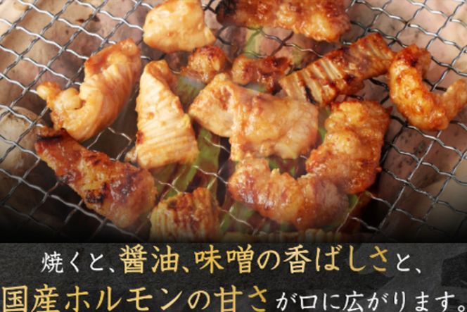 ヤマジュウの特製タレ漬け！国産牛ホルモン９００ｇ　yj063