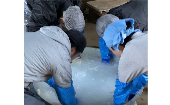 y茧쓇szy]݂̈₷zĎ ͂˖؍ 720ml×1{ / {  ӎ / 쓇s / 𑠋gc[SAI027]