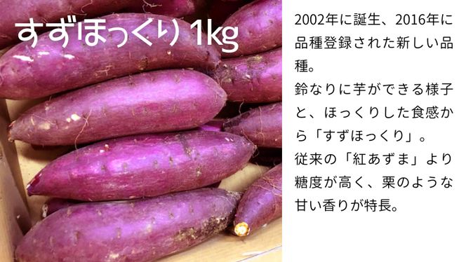 茨城名産 さつまいも 食べくらべ セット【ほっくり】 1kg × 3種　3kg サツマイモ 芋 詰合せ 野菜 スイーツ 焼き芋 紫芋 すずほっくり パープルスイートロード 姫あやか [AM137us]