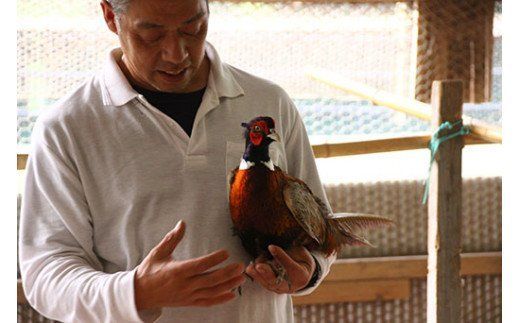 本川手箱きじコロッケ（１０個）