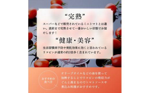 《発送月が選べる》【訳あり】宮崎県産ミニトマト　潤いミネラルトマト「リッチスイート」3kg【 九州産 川南町産 ミニトマト 新鮮 ヘルシー とまと 野菜 】 [D07202]