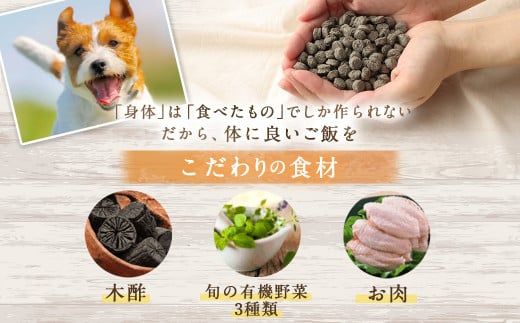 ＜BIGWOOD ダイエット用お試しセット＞翌月末迄に順次出荷【c1066_bw_x2】